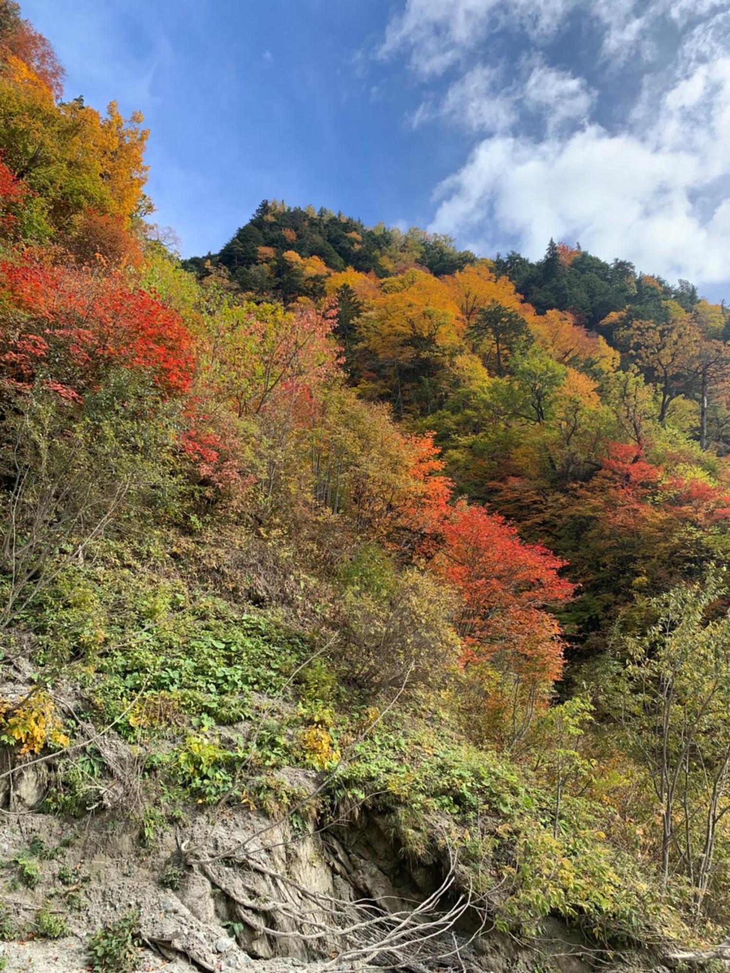 コテージ野の香 Omachi  Dış mekan fotoğraf